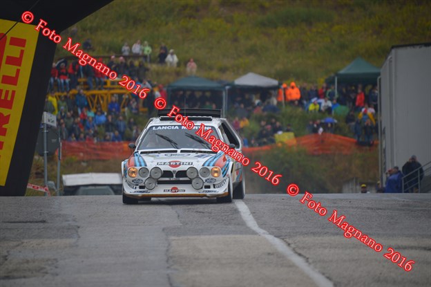 DSC_8484.JPG